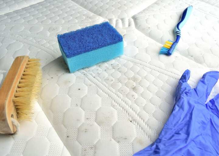 mold remediation El Paso