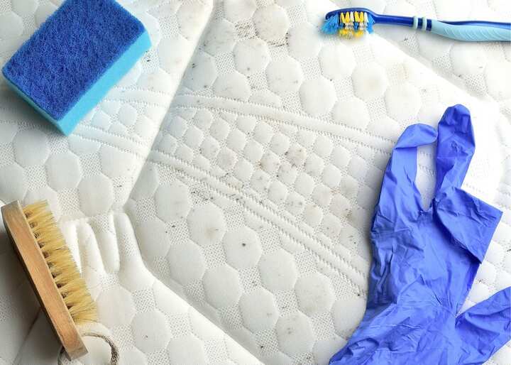 Mold Remediation El Paso