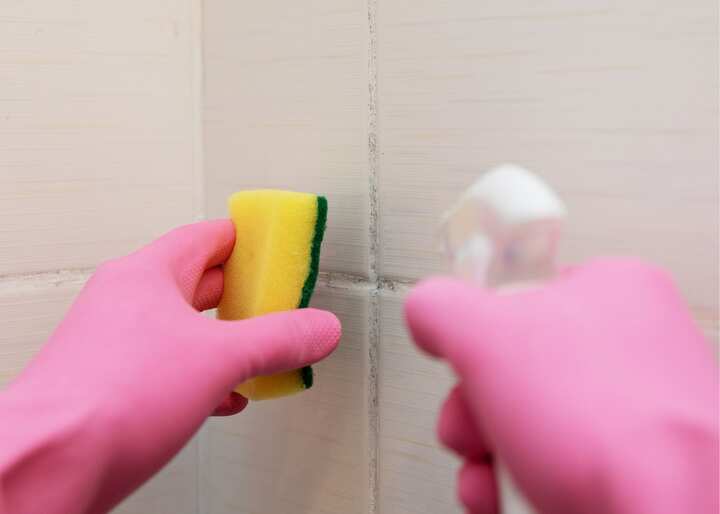 Mold Remediation El Paso