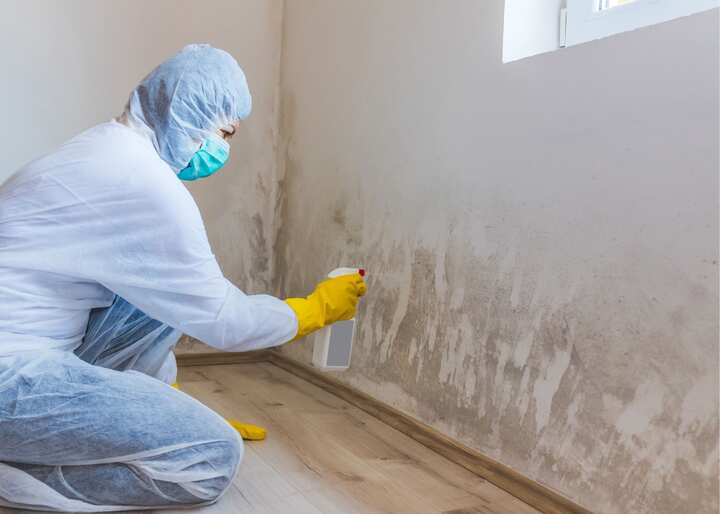 mold remediation El Paso