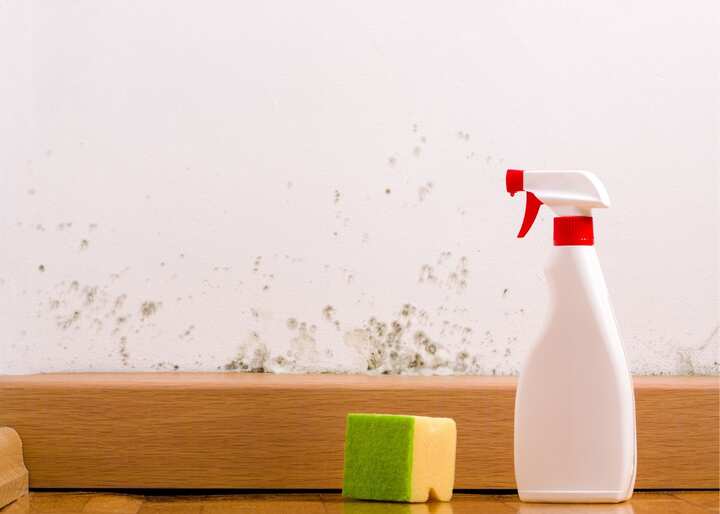mold remediation El Paso