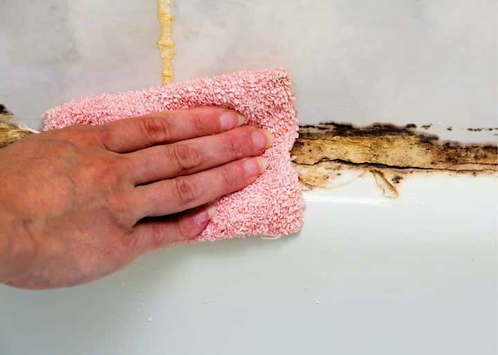 Mold Remediation El Paso