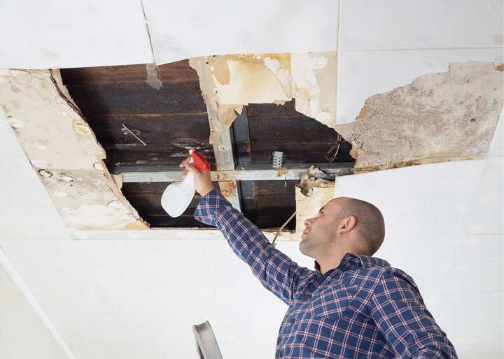 Mold Remediation El Paso