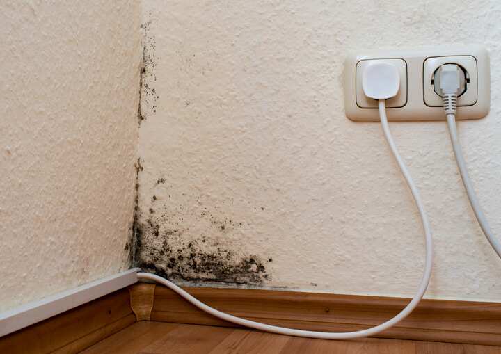 Mold Remediation El Paso