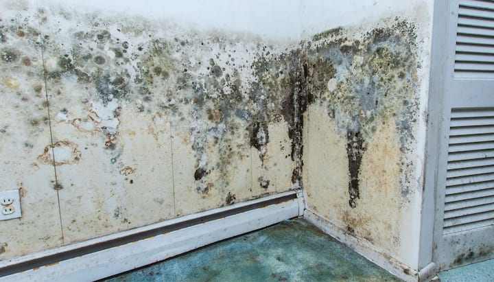 mold damage and odor control El Paso, TX