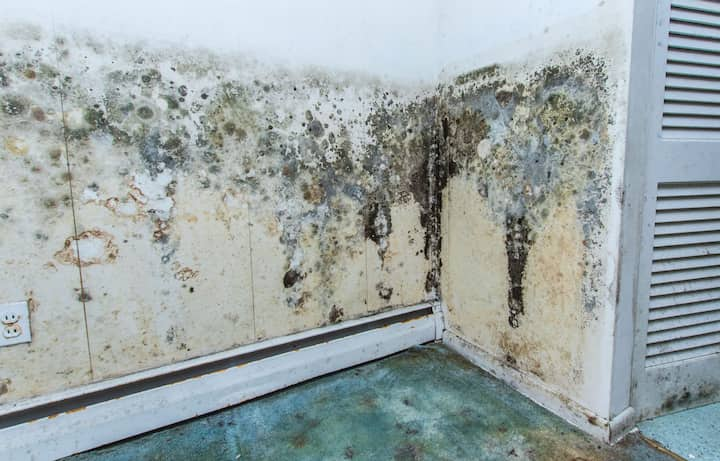 residential mold removal El Paso, TX